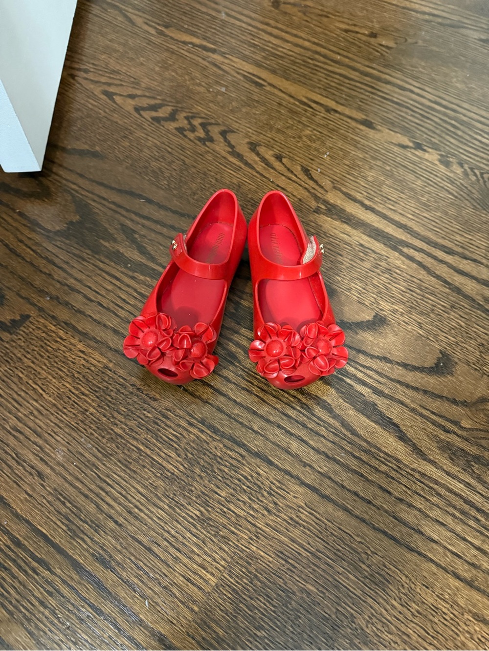 Mini Melissa Red Floral Mary Jane Kids Shoes